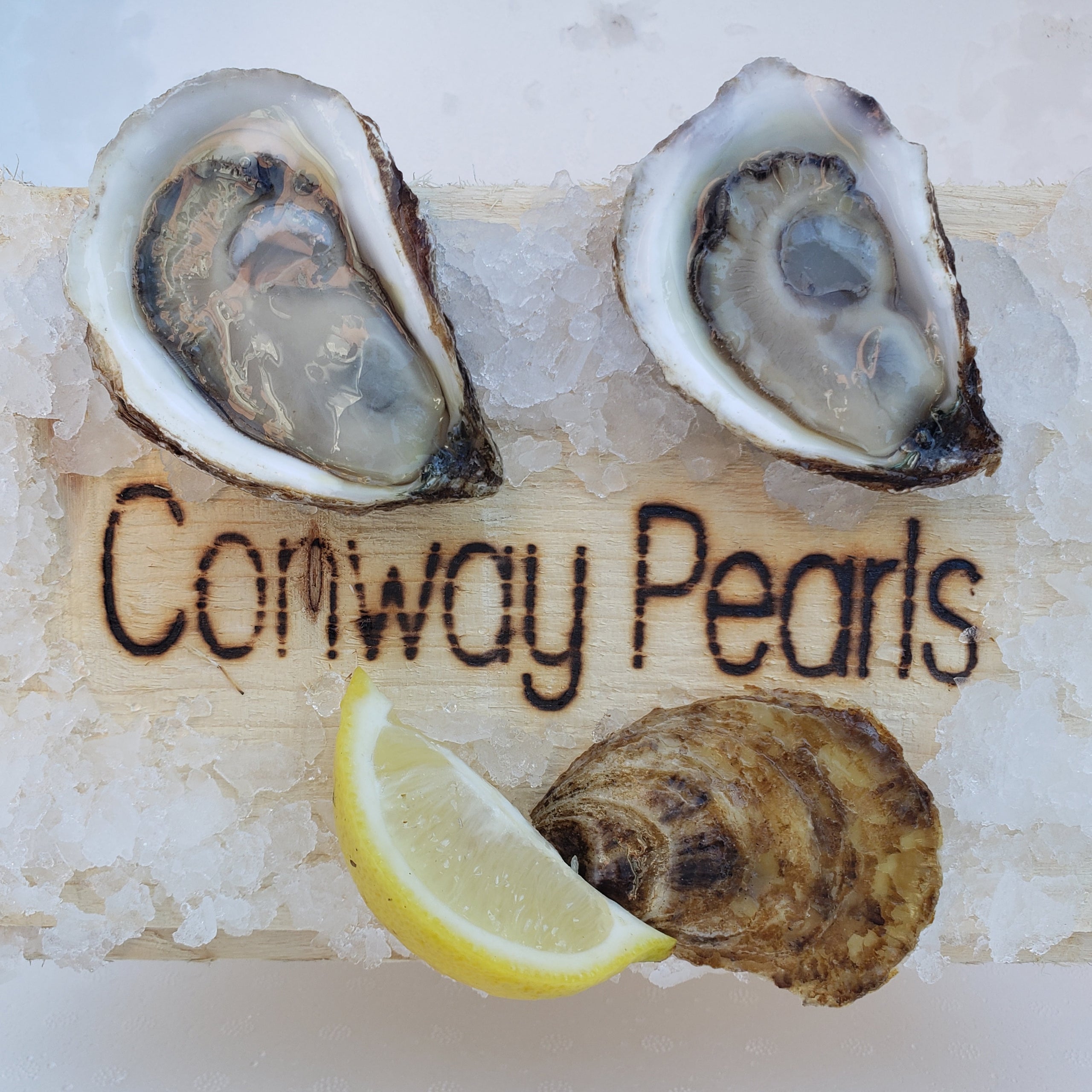 Ordering pearl oysters outlet